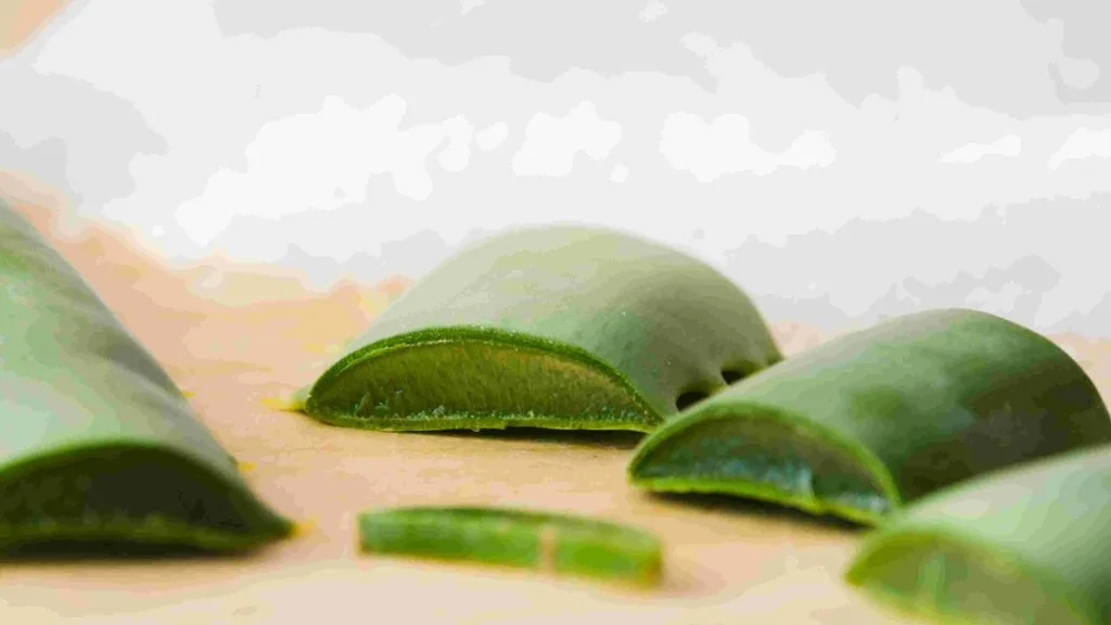 Best natural anti aging cream
