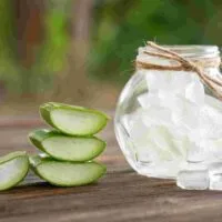 natural aloe vera gel for hair