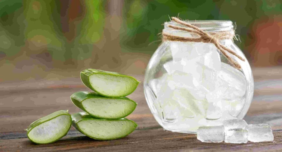 natural aloe vera gel for hair