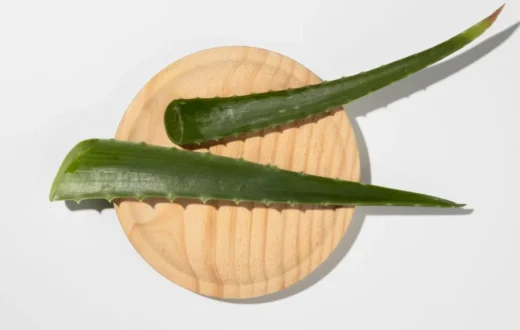 Aloe Vera Gel for Dandruff