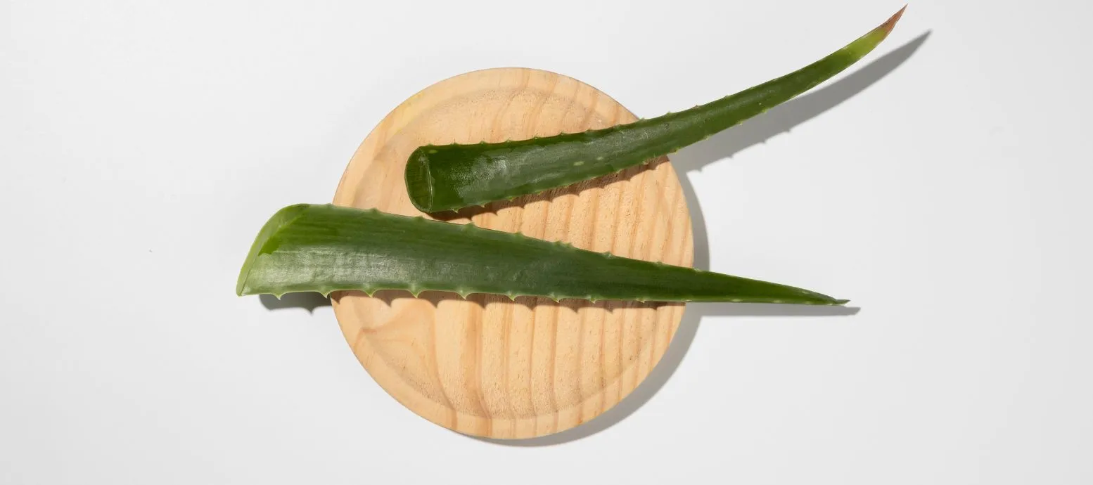 Aloe Vera Gel for Dandruff