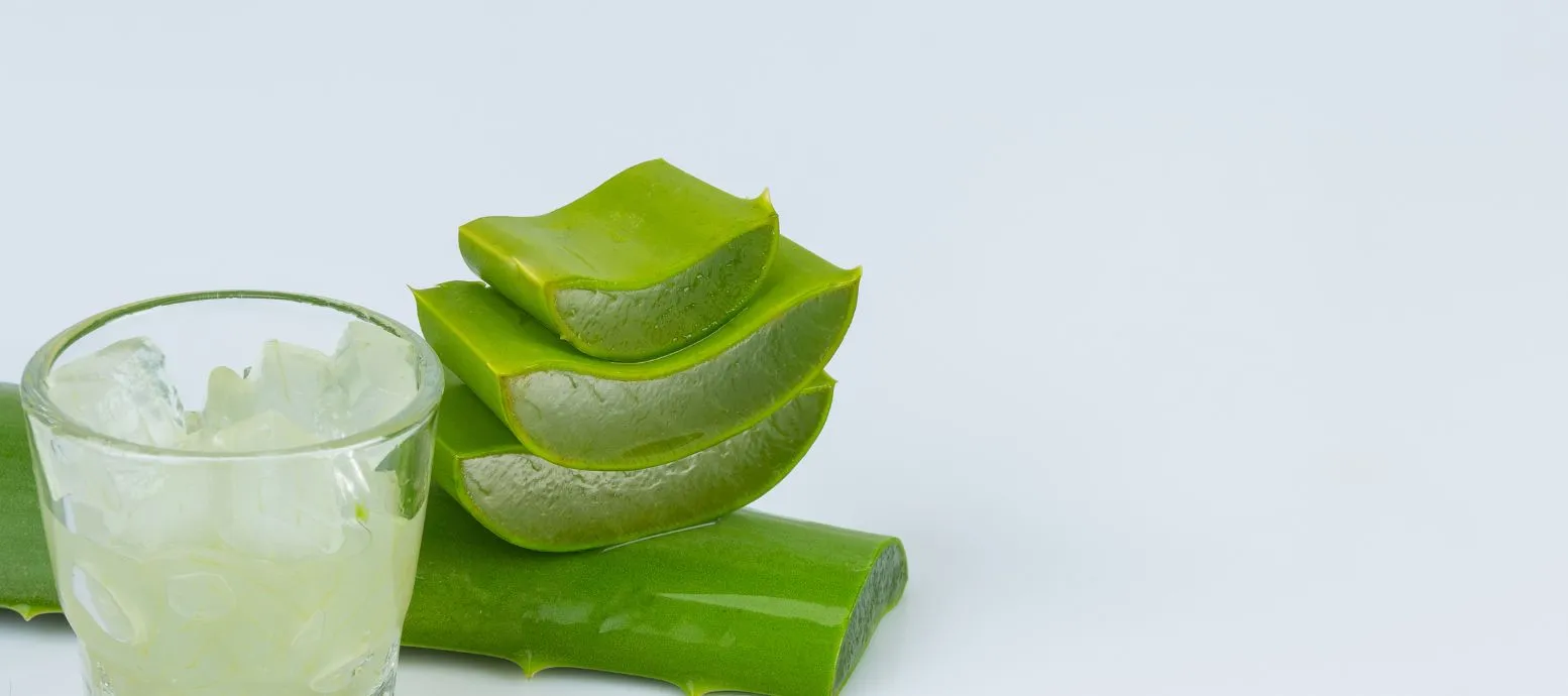 aloe vera for itchy scalp