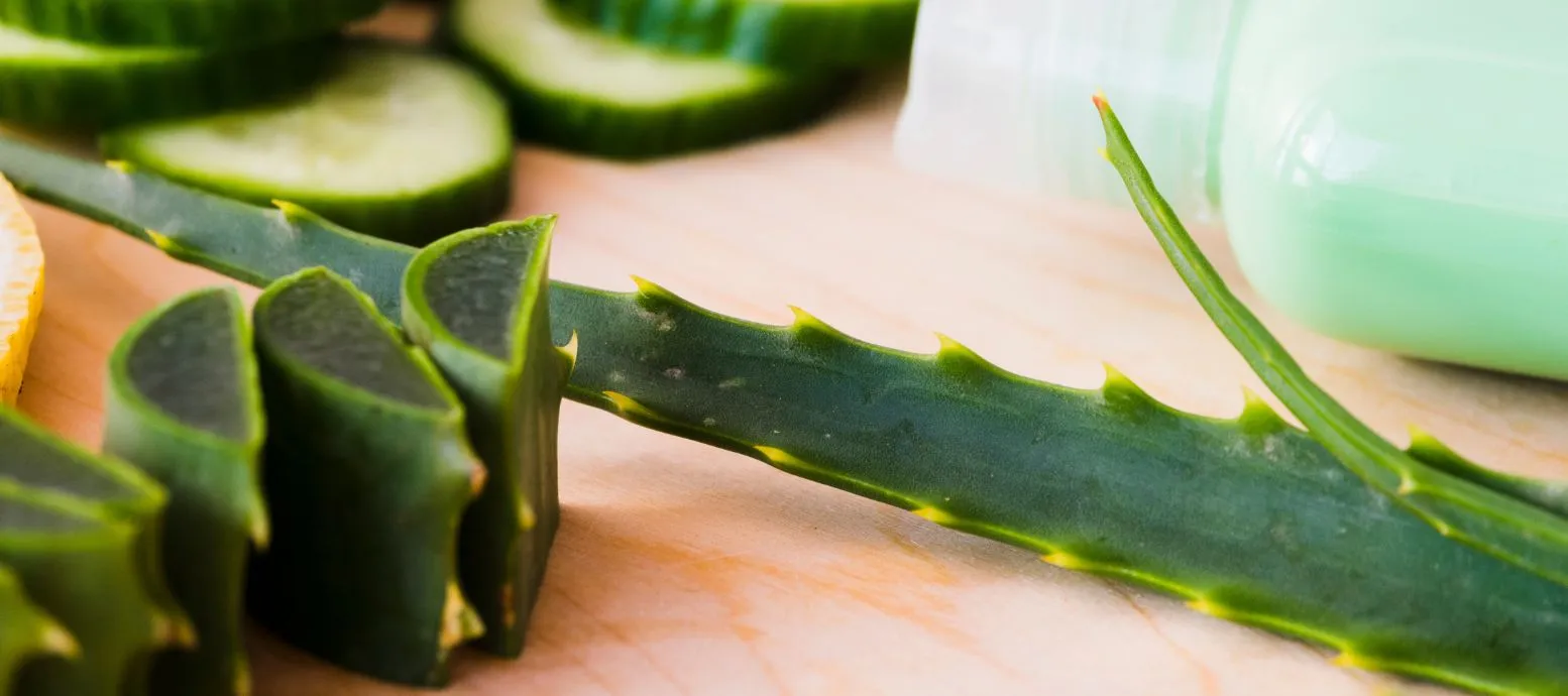 Aloe Vera Hair Gel