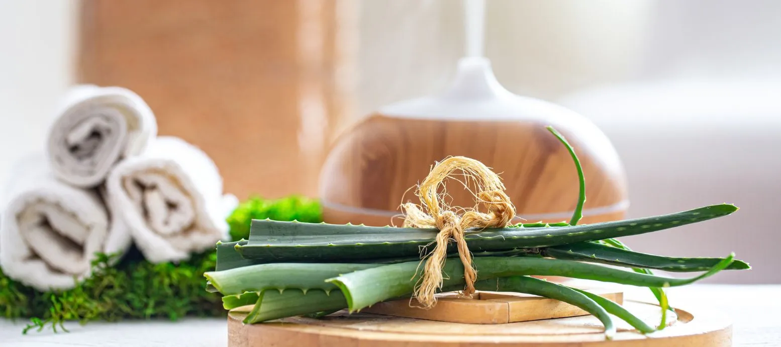 aloe vera and tea tree oil