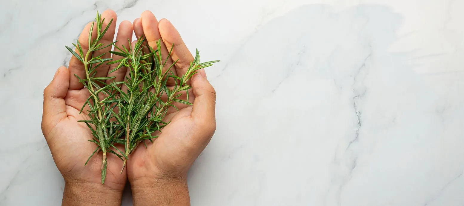 natural aloe vera gel for face